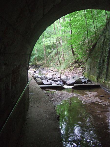 2011-05- (209).JPG - Bei Capronne führt der Weg entlang des "Ruisseau du Ratier" in einem Tunnel unterhalb der Straße